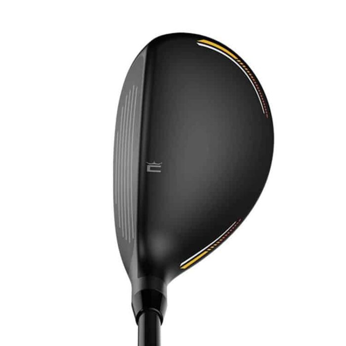 images COBRA HYBRIDE LTDX – Image 3